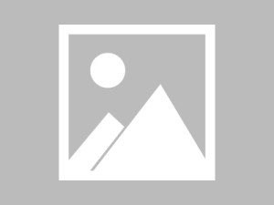 遭遇网络诈骗后怎么办？如何举报诈骗网站？